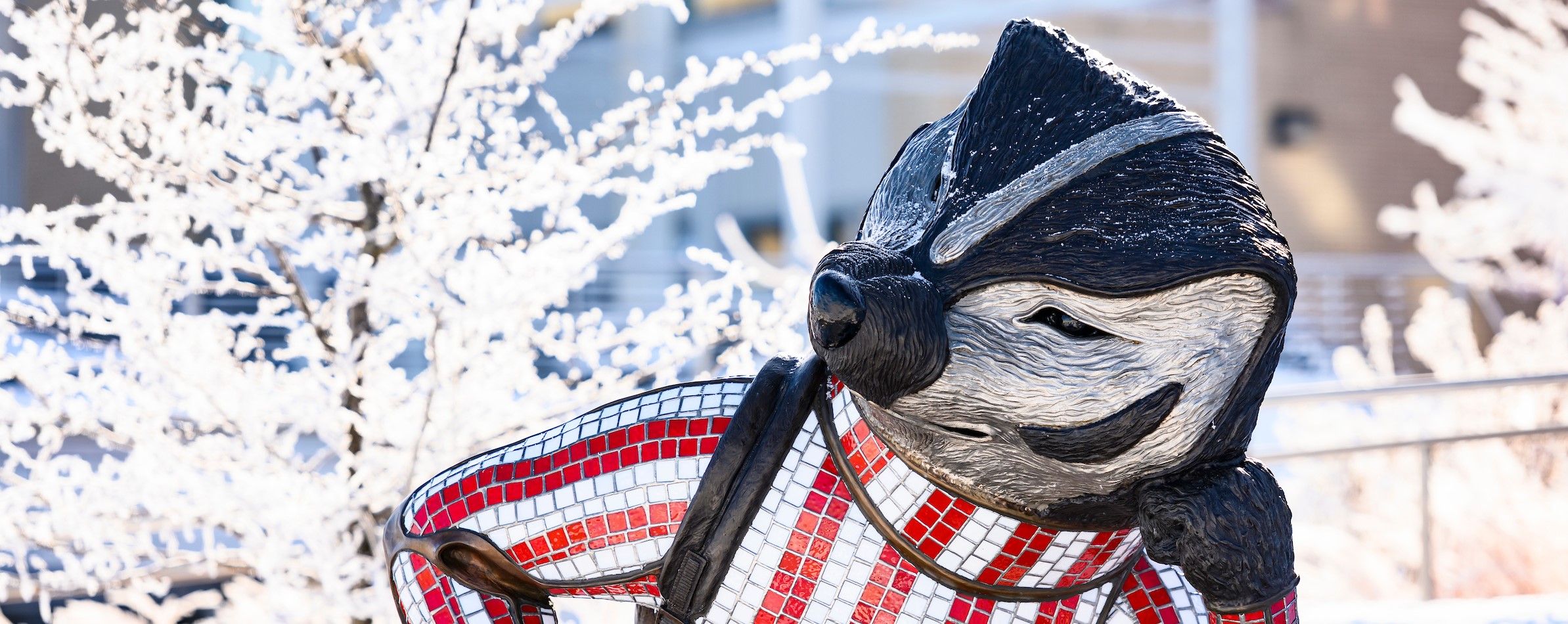 BUcky badger statue