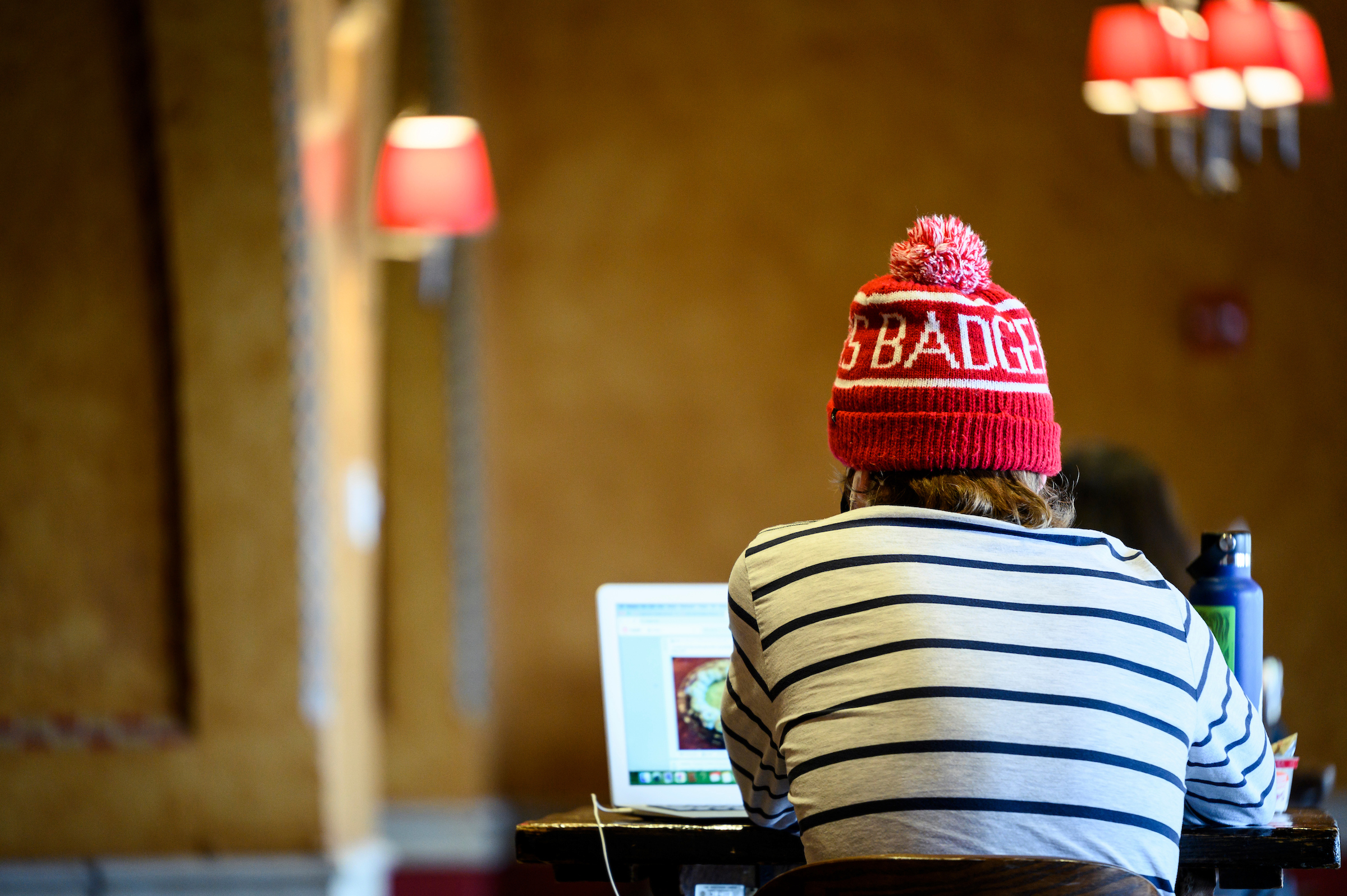 photo of student from the back looking at their computer with a badger pom pom hat