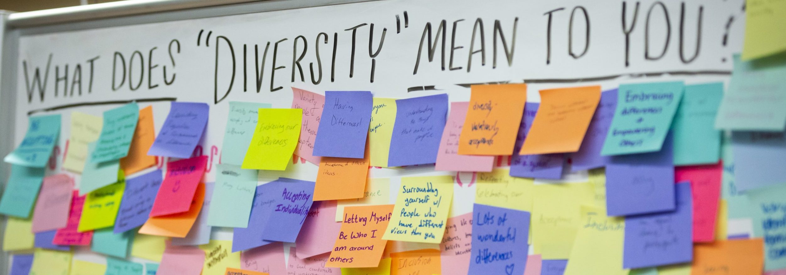 "What does diversity mean to you?" on whiteboard with sticky notes