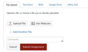 Screenshot of file upload portal