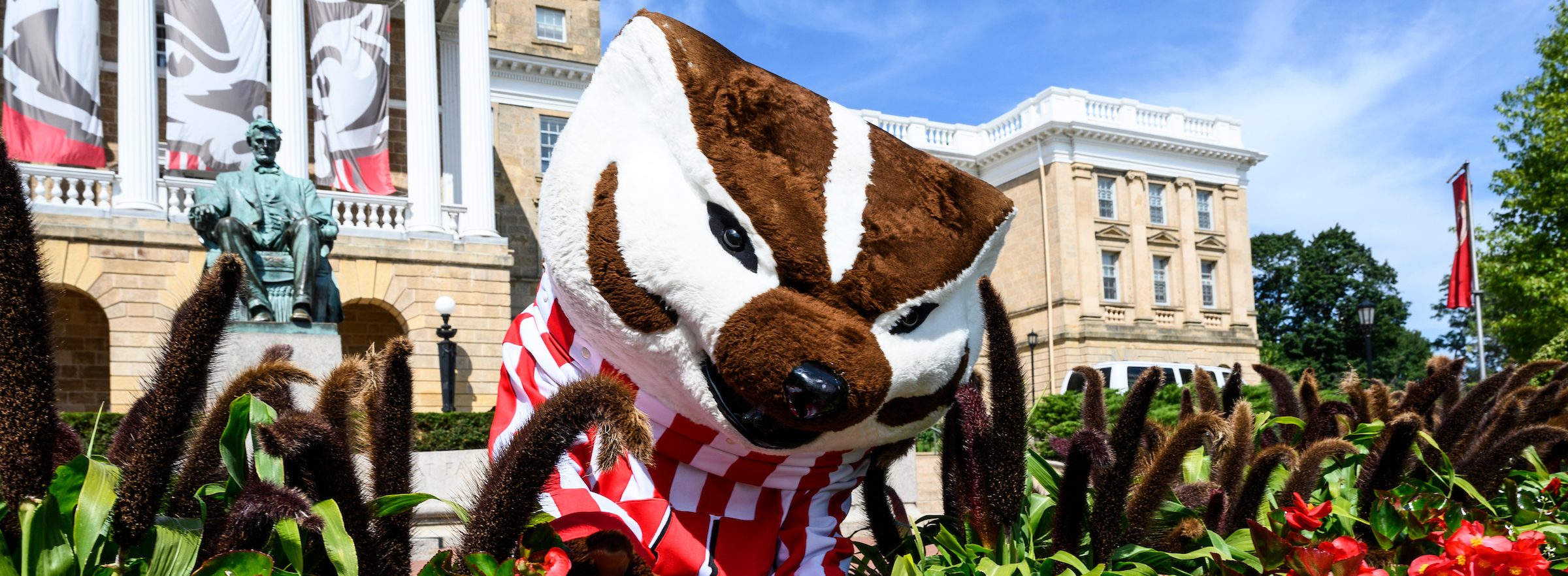 Bucky Badger examines the red begonias (his favorite color!) and ornamental millet in the full-bloom gardens in front of Bascom Hall at the University of Wisconsin–Madison on Aug. 18, 2022. (Photo by Althea Dotzour / UW–Madison)