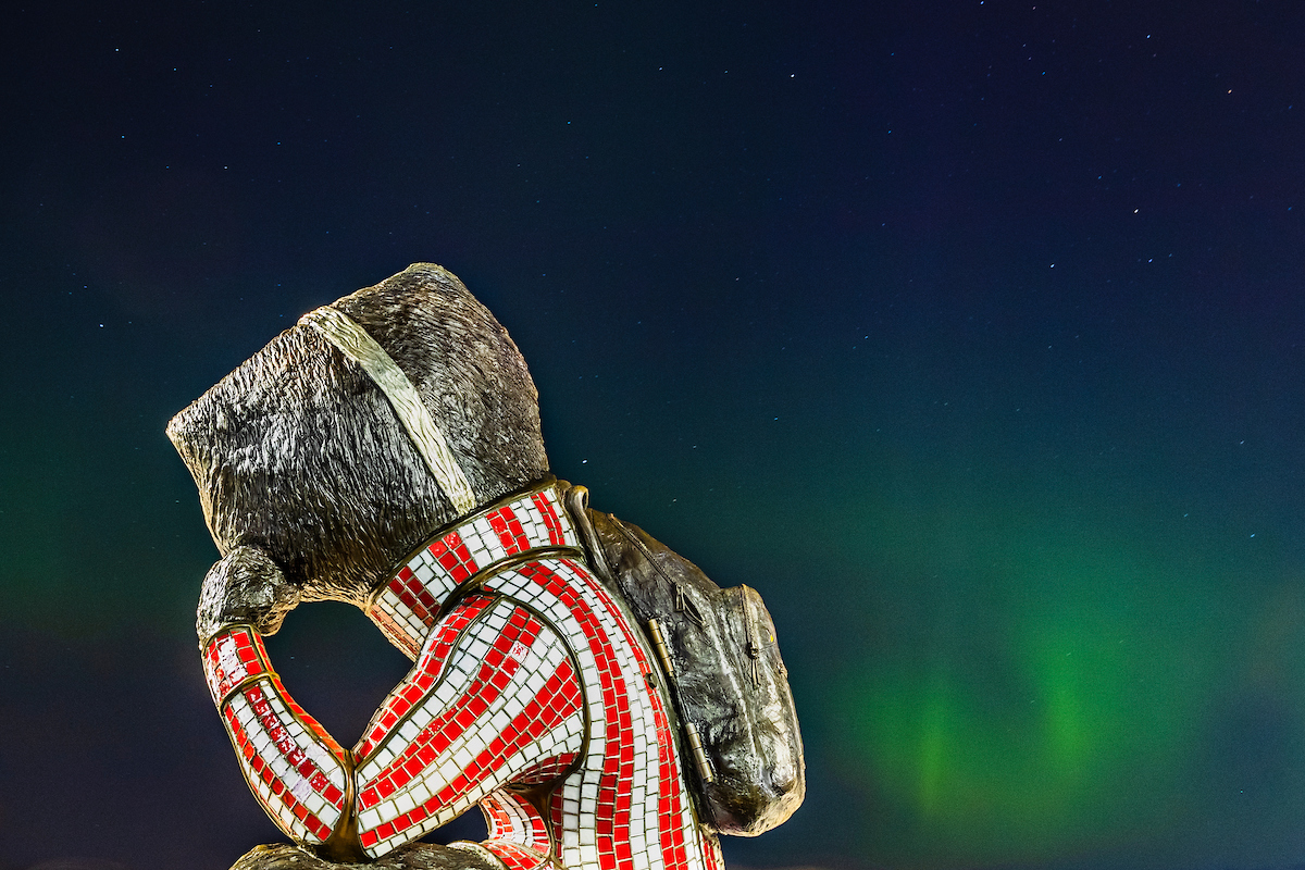 picture of bucky statue from the back looking at the northern lights