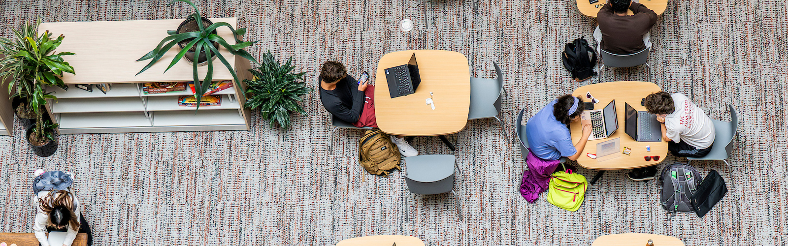 Students studying from above