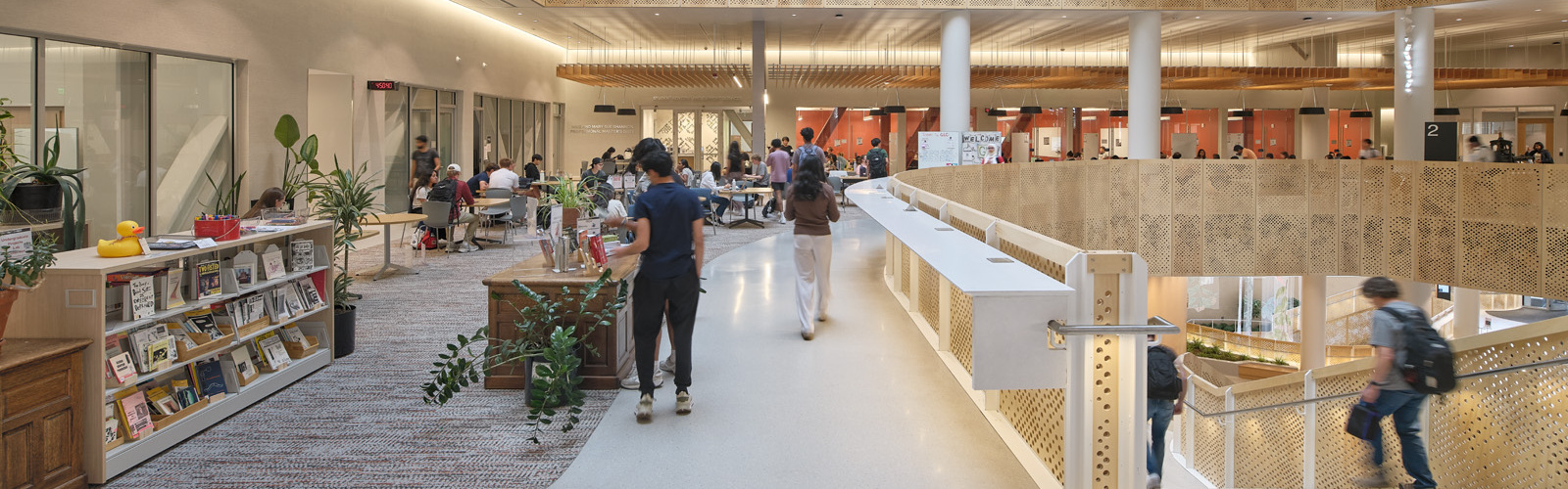 Library with students